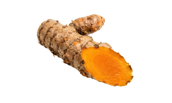 A fresh organic root vegetable isolated on a white background