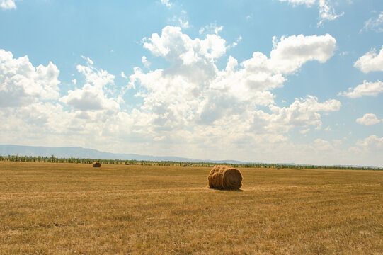 Single round hay bale resting in vast harvested field under bright blue sky with fluffy white clouds. East Kazakhstan