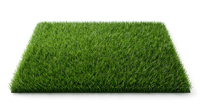 Lush green grass turf isolated on white background