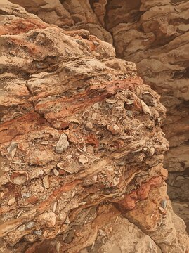Detailed illustration of sedimentary rock layers with embedded fossils and shells on canyon cliff face