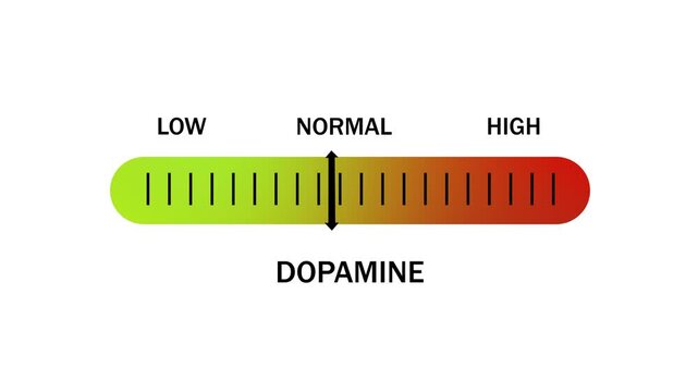 Dynamic dopamine level indicator gauge animation featuring a sliding scale moving from low to settings to visualize neurotransmitter activity, brain chemistry, mental health, and biological motivation