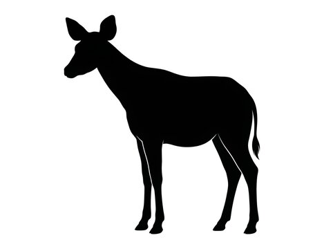Okapi standing in profile black silhouette