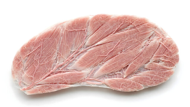 Fresh Raw Pork Chops Isolated on White Background Close Up Premium Uncooked Pork Loin Meat with Natural Marbling for Butcher Shop Meal Preparation and Healthy Protein Cooking Concept
