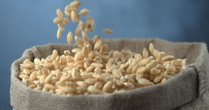 Pearl barley grains falling into burlap sack in super slow motion