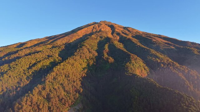 Aerial view of rugged mountain terrain wrapped in green forest, sharp ridgelines catching morning sunlight under a cloudless sky.