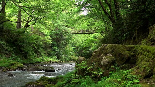 かずら橋