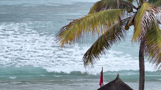 Palm tree beside lifeguard tower with red warning flag on tropical beach in Punta de Mita, overview looking at waves crash in slow motion
