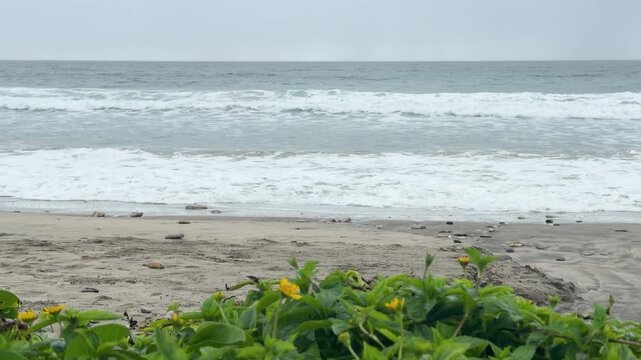 Empty beach with gentle waves under cloudy sky in Punta de Mita Nayarit coastline, slow motion backdrop
