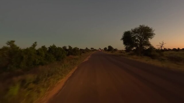 Safari vehicles drive on paved road in Kruger NP with sunset dusk sky