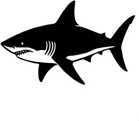 Naklejka premium shark vector illustration