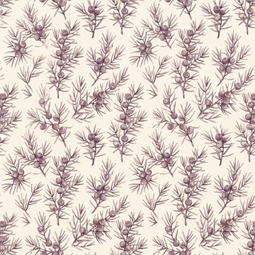 Seamless pattern featuring hand drawn botanical illustrations of juniper branches with small round berries on a light beige background for design