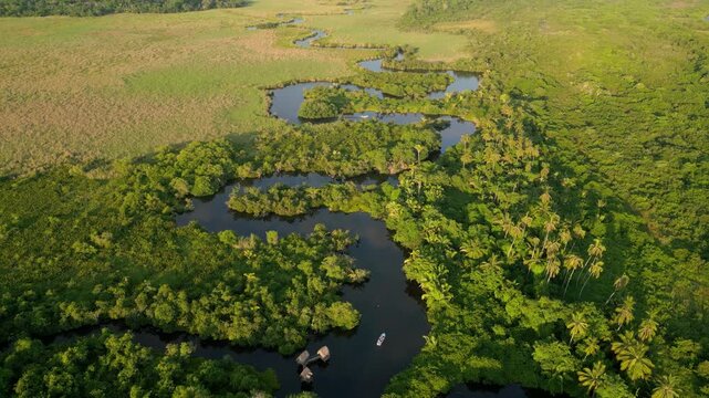 tomas a&eacute;reas del manglar La Tovara en San Blas, Nayarit. paseo en lancha entre canales y selva  durante el atardecer 