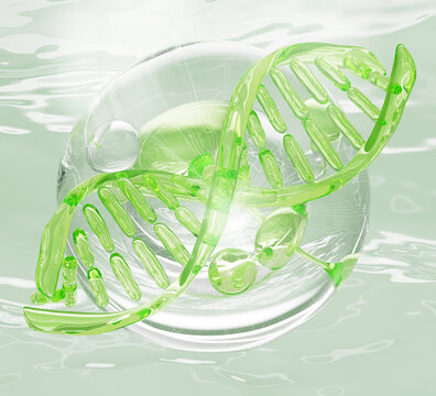 Bio cosmetics lab 3d background. Clear water bubble with green molecule, transparent liquid DNA structure and soft lighting. Natural skincare, beauty science, genetic research concept. 3D illustration