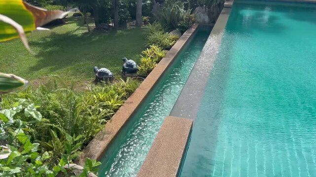 Clear water pool with decorative turtles at a garden setting on a sunny day
