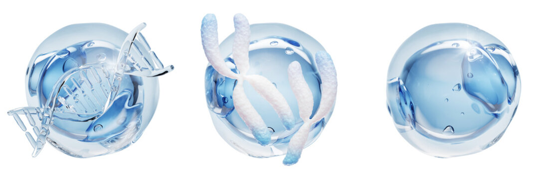 Collagen cell bubble 3d set with transparent liquid DNA helix, chromosomes and molecule in blue fluid balls. Genetic cosmetics, beauty science. Water hyaluronic acid serum droplets. 3D illustration