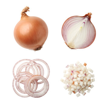Onion Whole Sliced and Diced Isolated on White