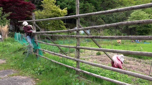 名頃かかしの里　かかしと畑