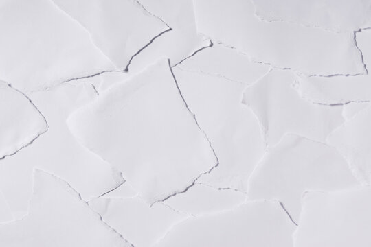 Scattered torn white paper pieces creating a simple abstract textured background.