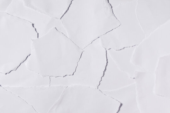 Scattered torn white paper pieces creating a clean abstract background.