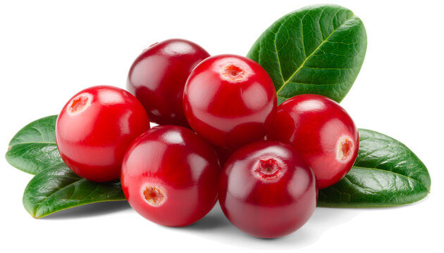 Fresh red cranberries with green leaves
