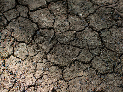Dry Cracked Soil Texture Ground Surface During Drought Season Close-Up
