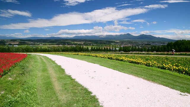 フラワーランド　ヘブンロード白い道と　十勝岳連峰