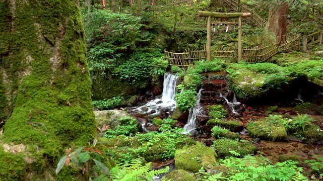 若狭瓜割名水公園　瓜割の滝