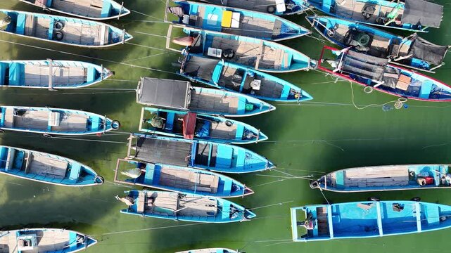 Top-down aerial footage of traditional blue wooden fishing boats neatly moored side-by-side along ropes in shallow.