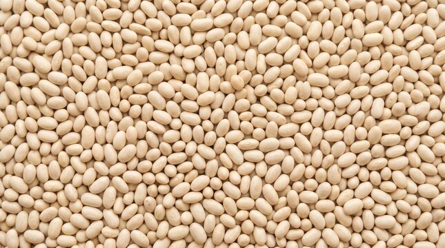 Top view of organic small white beans forming a natural texture pattern, perfect for food industry marketing, website backgrounds, and healthy lifestyle presentations