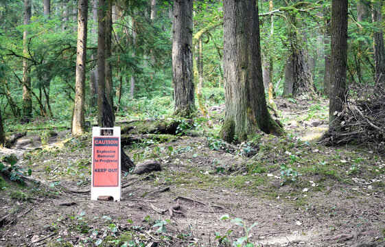 Explosive removal sign on forest trail. Caution signage on footpath warning to keep out of restricted area in the middle of forest. Public safety and hazard warning concept. Selective focus.