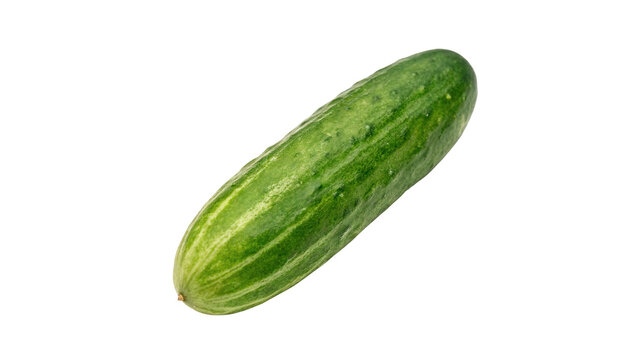 Fresh green organic cucumber vegetable ripe and crispy ready for healthy salad isolated on transparent background