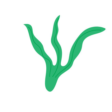 Green seaweed underwater plant vector illustration marine algae icon isolated on transparent background