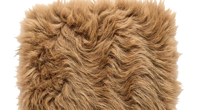Png camel fur texture sandy brown background