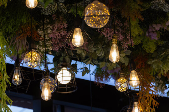 Charming string lights dangle through lush foliage in shop.