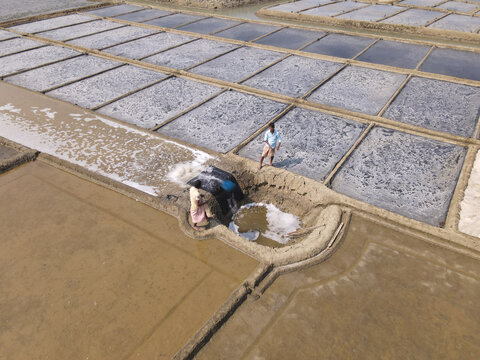 Aerial view of salt pans with workers collecting salt and managing water flow in the fields in Chhota Chhanua, Chittagong Division, Bangladesh.