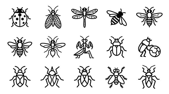 Black and white insect icon collection set.