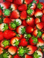 strawberries on the market © Teerapat