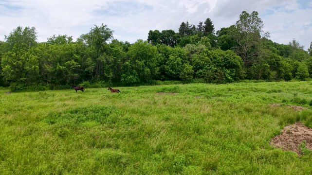Aerial view across a green pasture with a small hay pile and dense woodland along the horizon