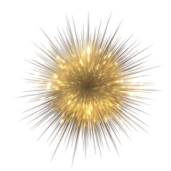 Obraz premium Golden light burst with radiating particles and glowing sparks isolated on a clean white background for design