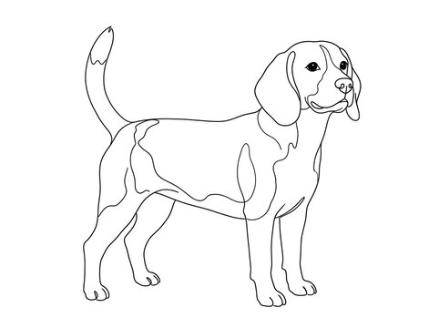 Cute puppy dog sitting in garden coloring page outline vector illustration graphic line art