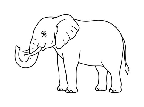 Cute elephant coloring page line art outline illustration for children with elephant