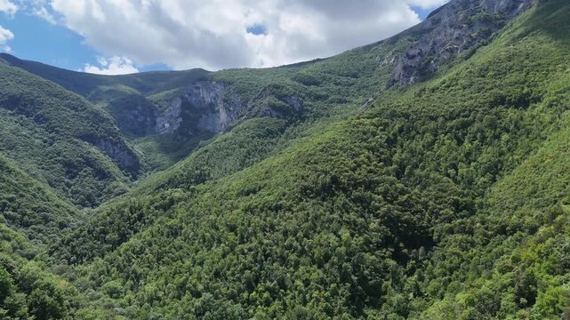 Valle montana ricoperta da foresta verde fitta, pendii ripidi con affioramenti rocciosi e cielo azzurro con nuvole sparse