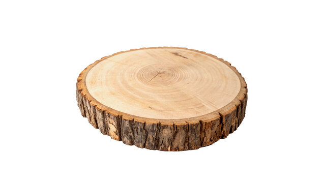Natural round wooden log slice cross section with textured tree bark rustic decor isolated on transparent background cut out