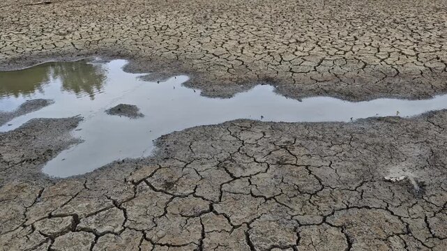 The water in a pond dries up from lack of water