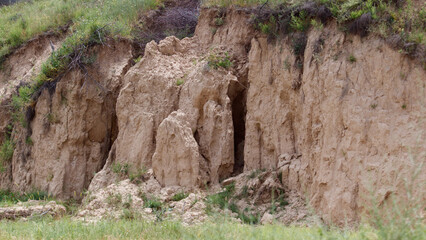 Fototapeta premium Exposed soil cliff with green vegetation atop