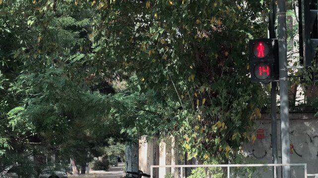Urban pedestrian traffic light with digital countdown timer changes from red stop signal to green walk sign on quiet city street corner with lush trees. White car passes by. Authentic summer day