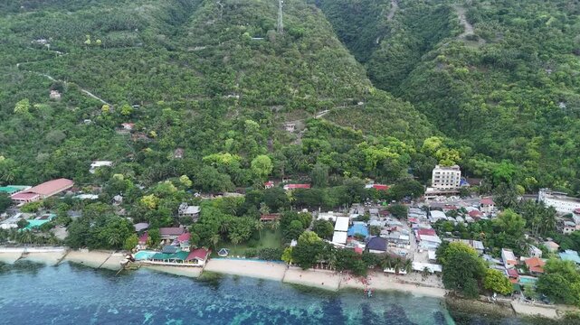 Aerial View of Whale Shark Watching in Oslob, Philippines