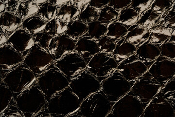 Dark exotic reptile leather texture with glossy python scales for luxury fashion background © reddish