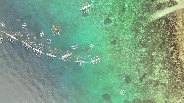Aerial View of Whale Shark Watching in Oslob, Philippines