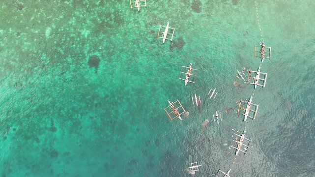 Aerial View of Whale Shark Watching in Oslob, Philippines